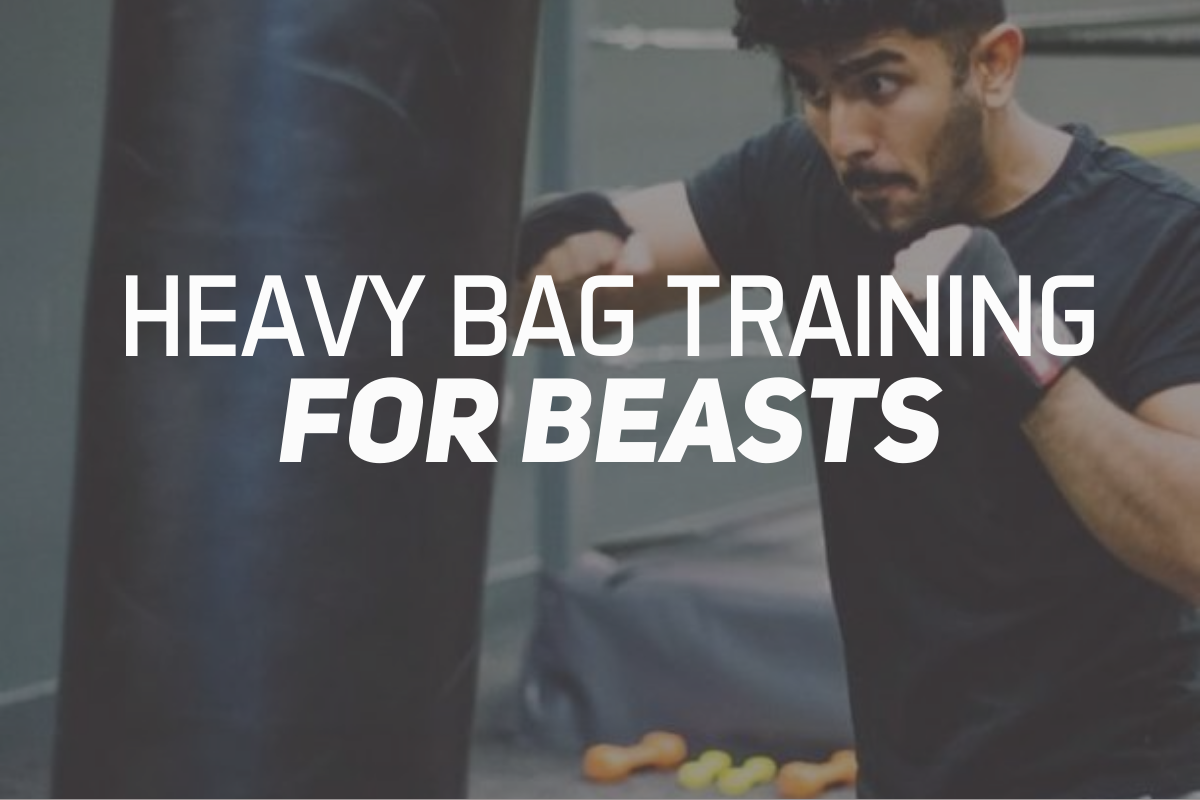Heavy Bag Training For Beasts