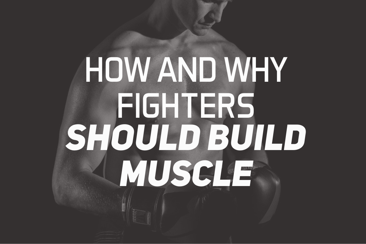 How And Why Fighters Should Build Muscle