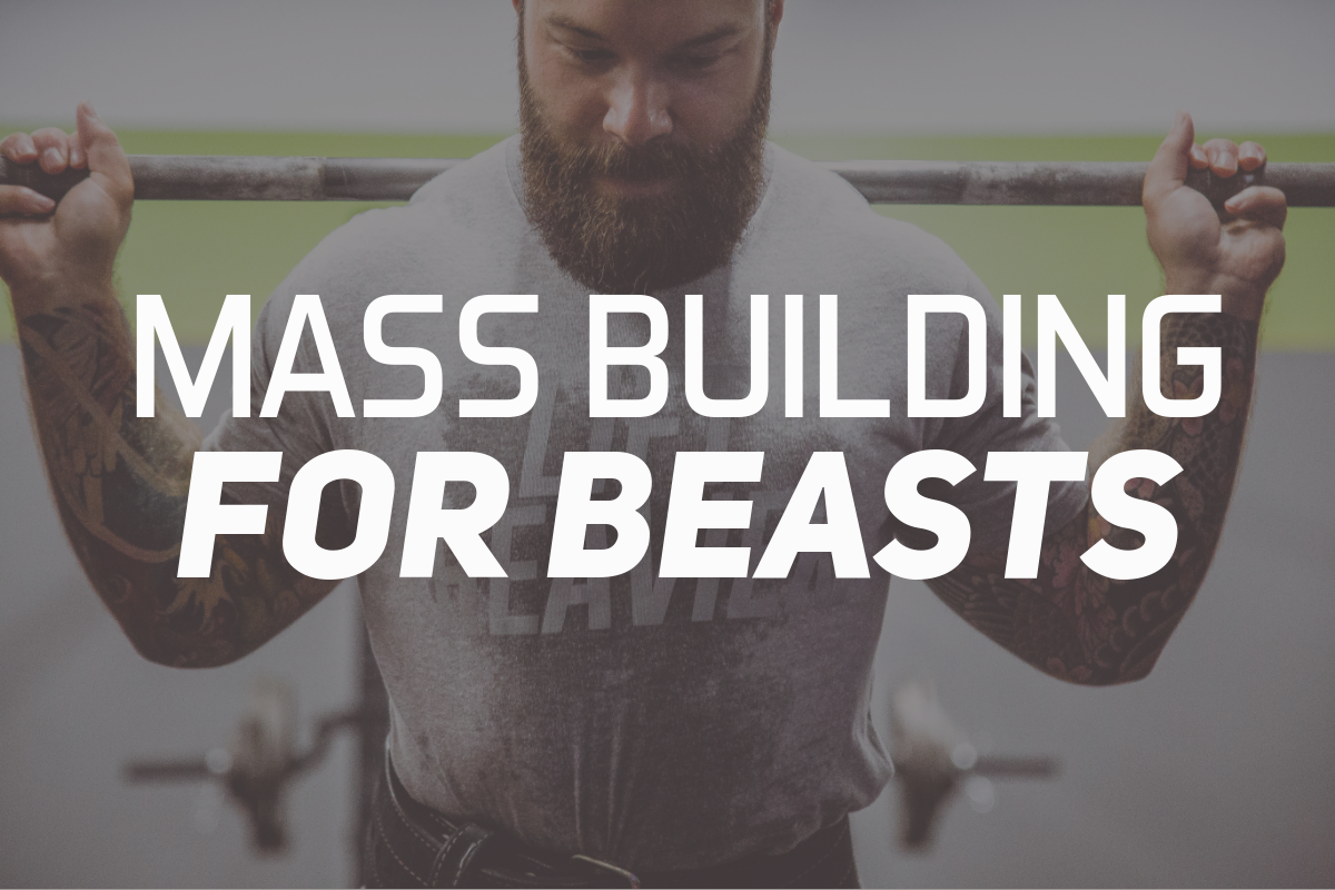 Mass Building For Beasts