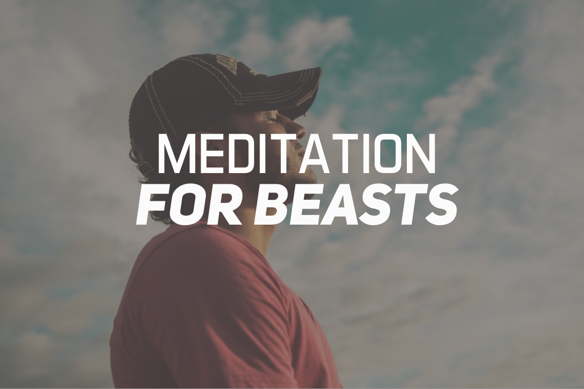 Meditation For Beasts