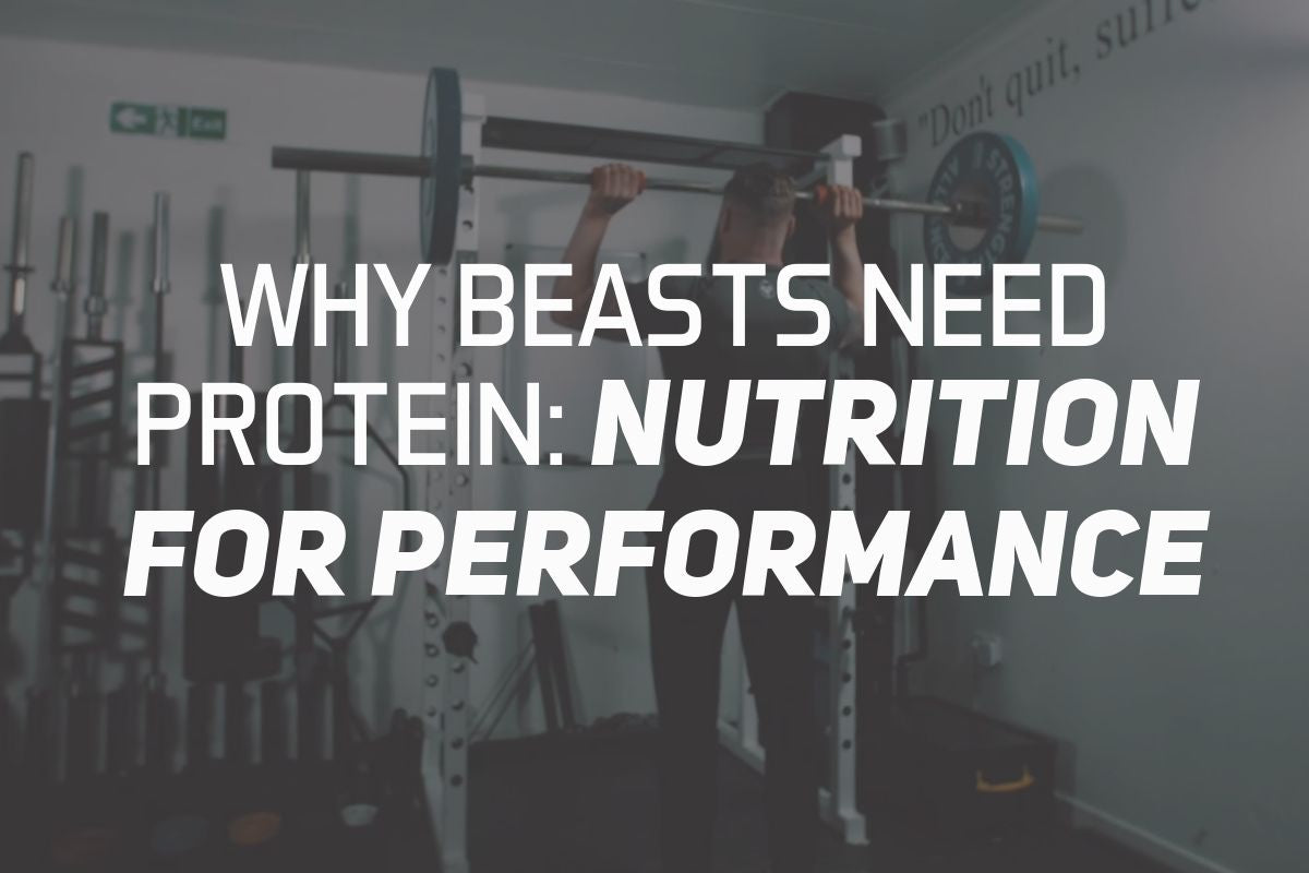 Why Beasts Need Protein: Nutrition For Performance