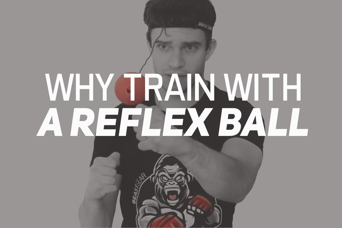 Why Train with a Boxing Reflex Ball?