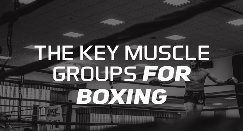 The 5 Key Muscle Groups For Boxing