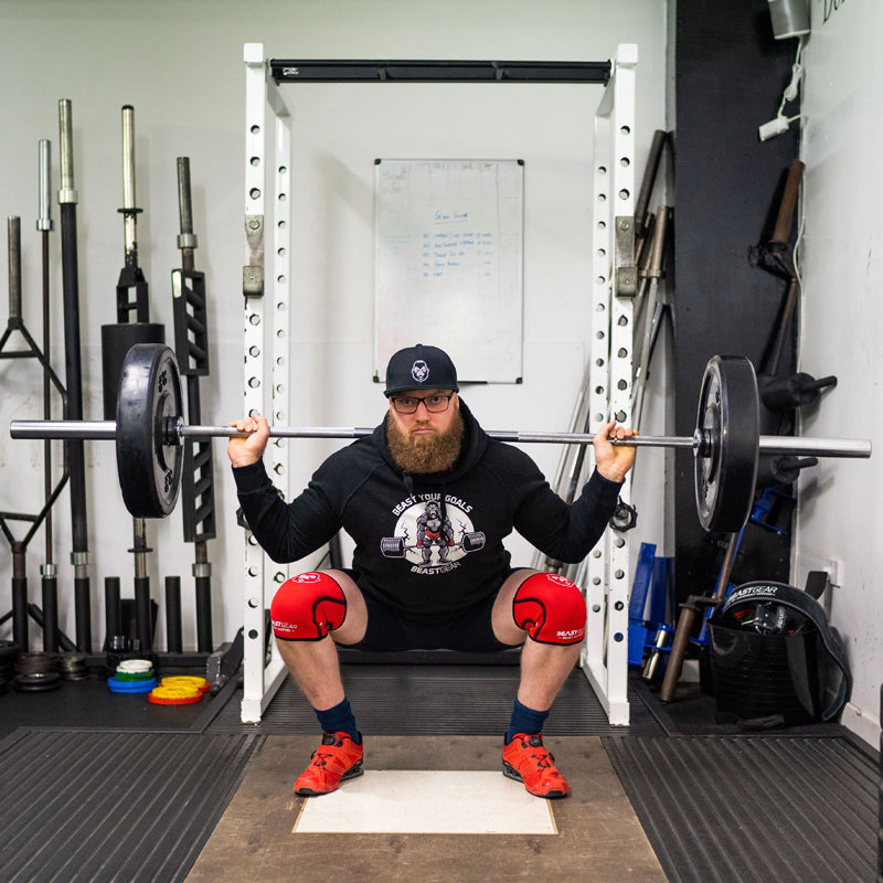 Beast Sleeves