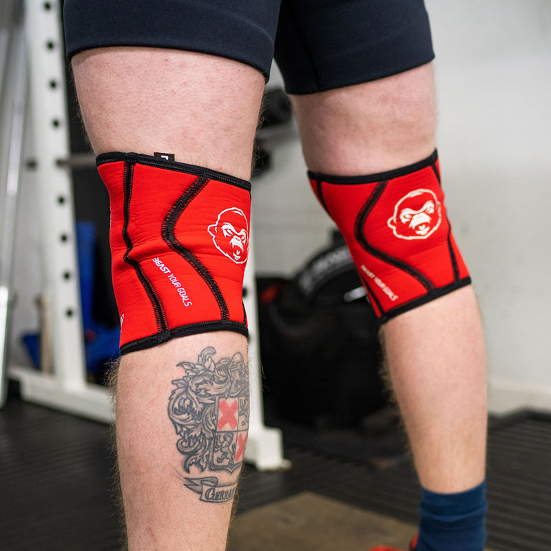 Beast Sleeves