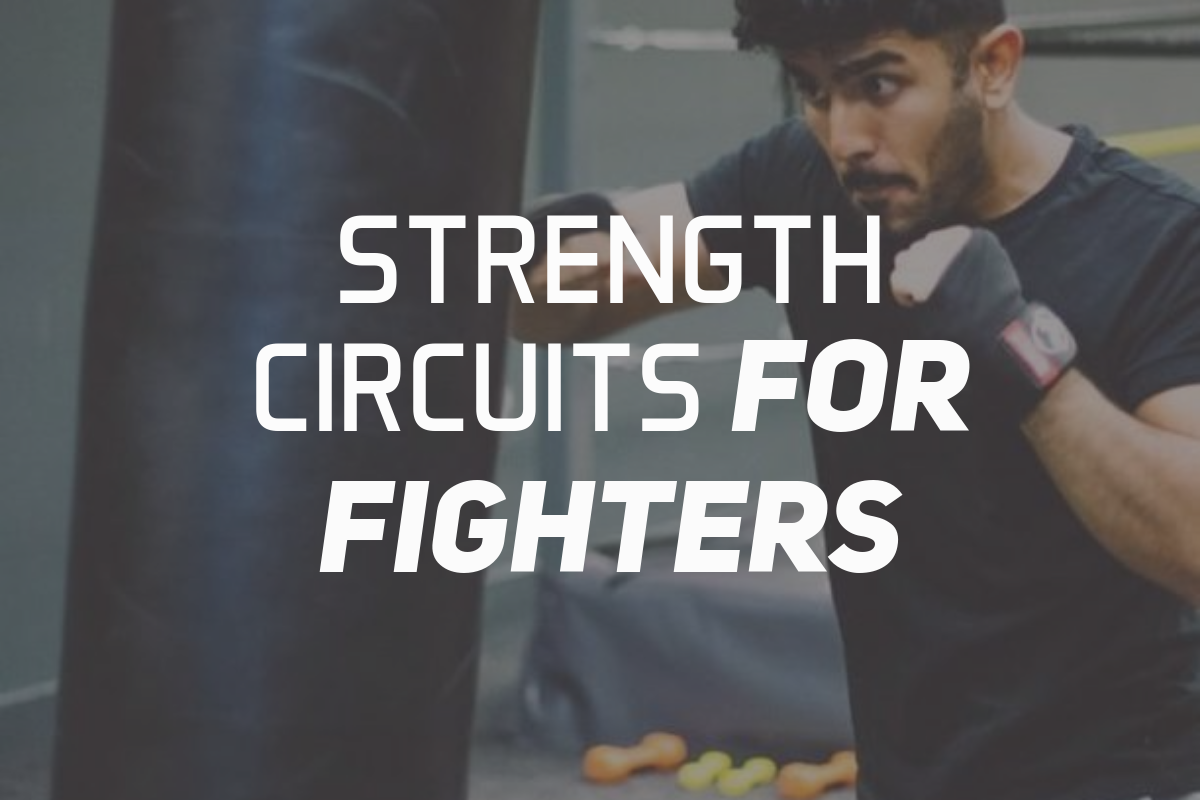 Strength Circuits For Fighters