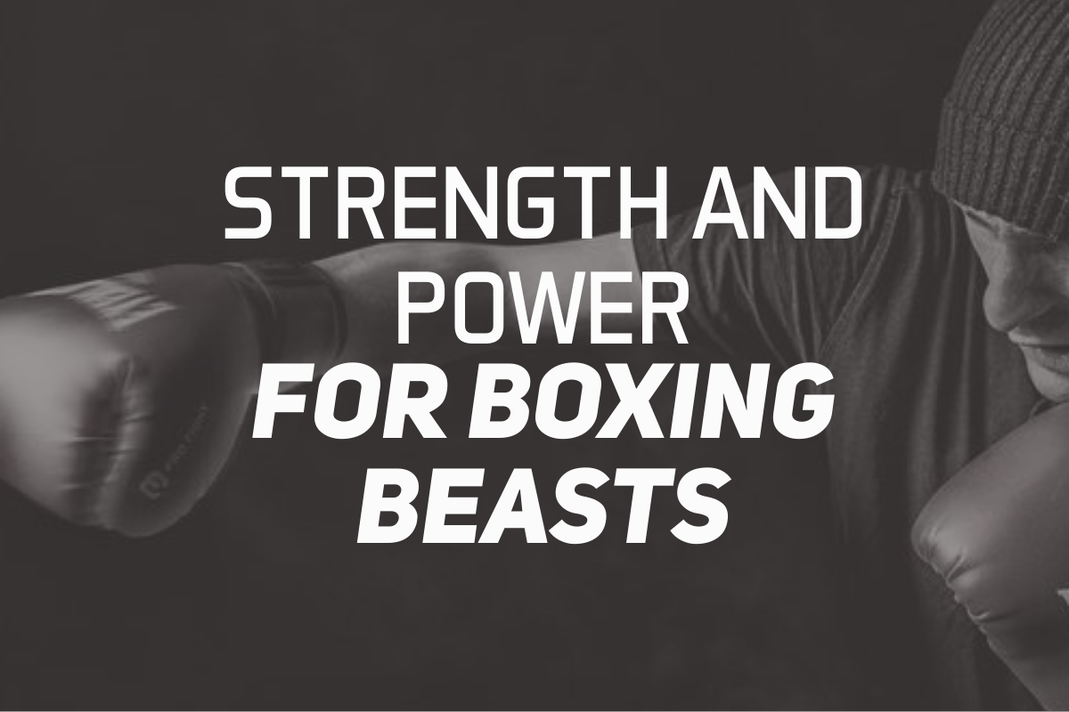 Strength and Power For Boxing Beasts