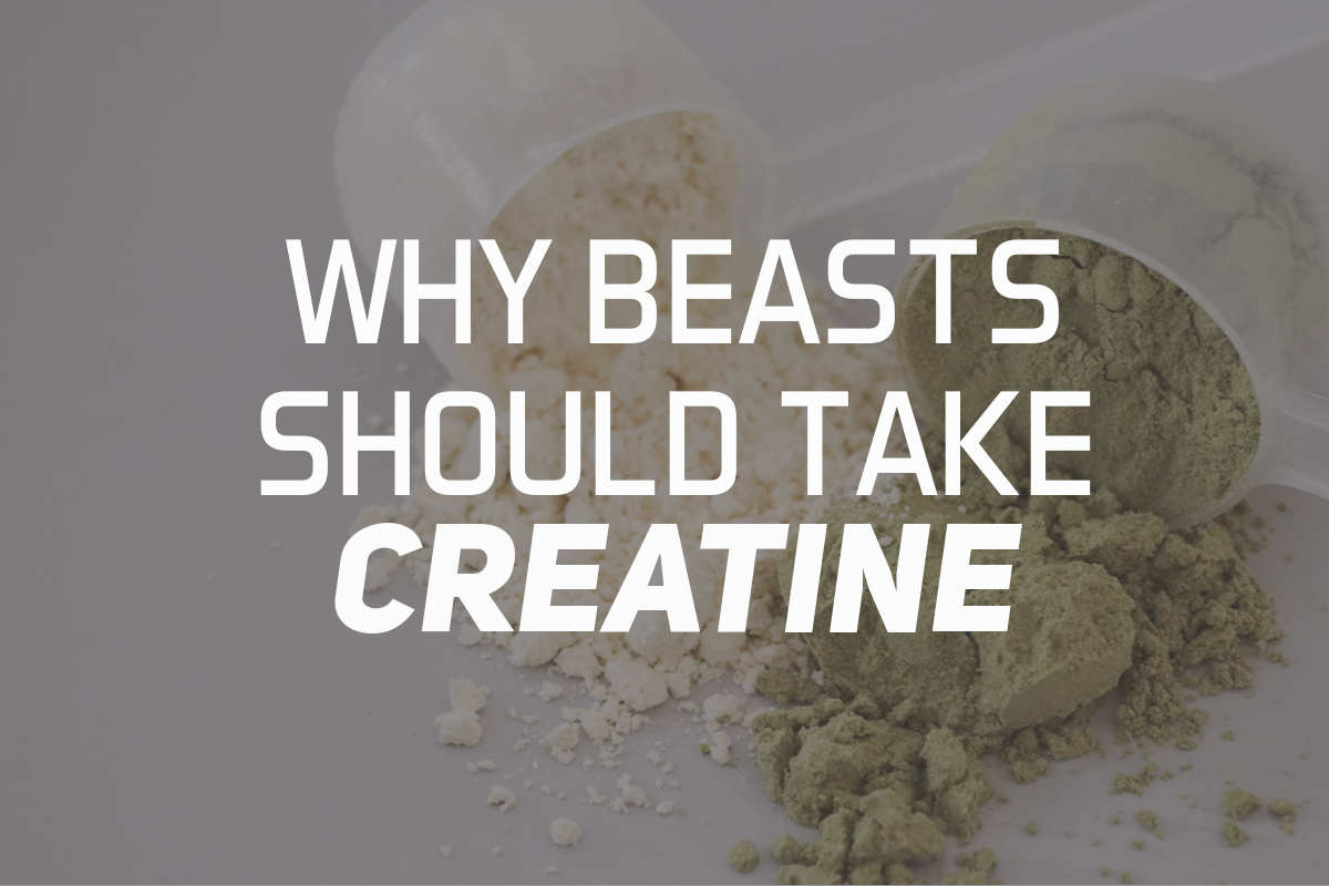 Why Beasts Should Take Creatine