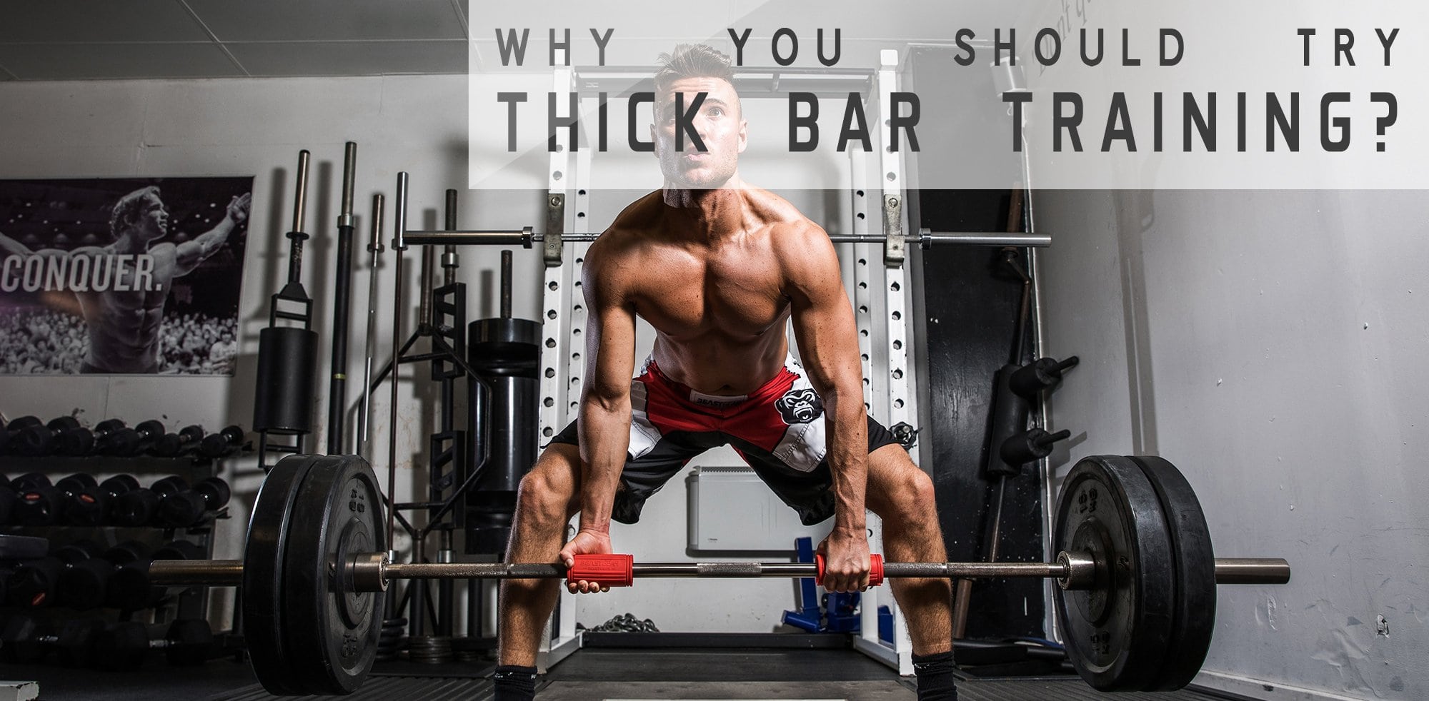 Why Should You Try Thick Bar Training?